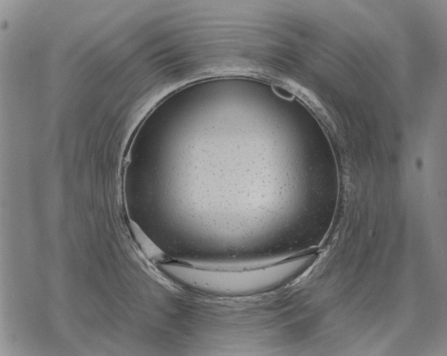 X0000070391236200606231729