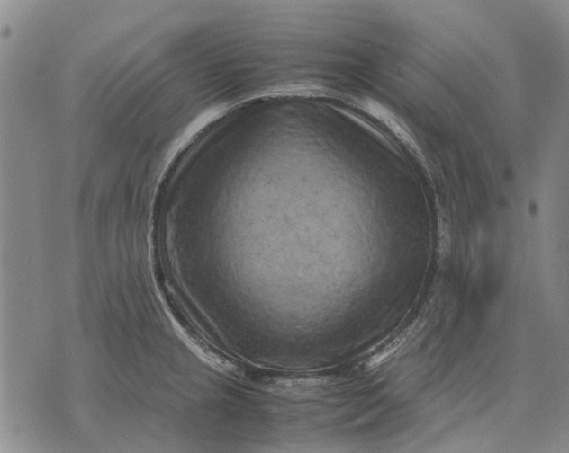 X0000070391237200606231729