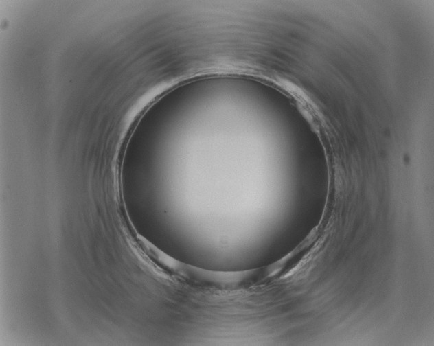 X0000070391238200606231729