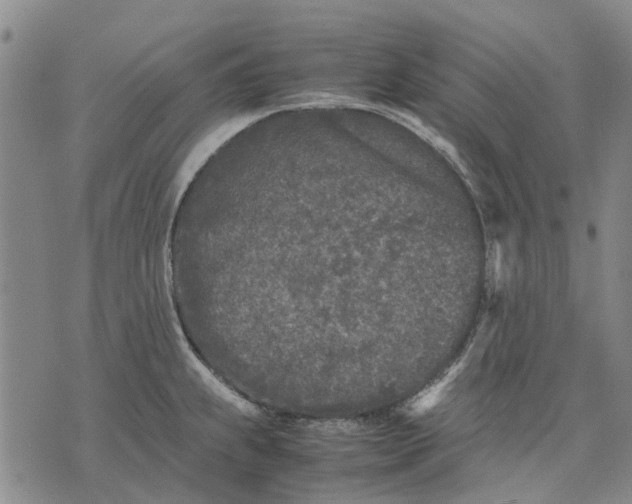 X0000070391239200606231729