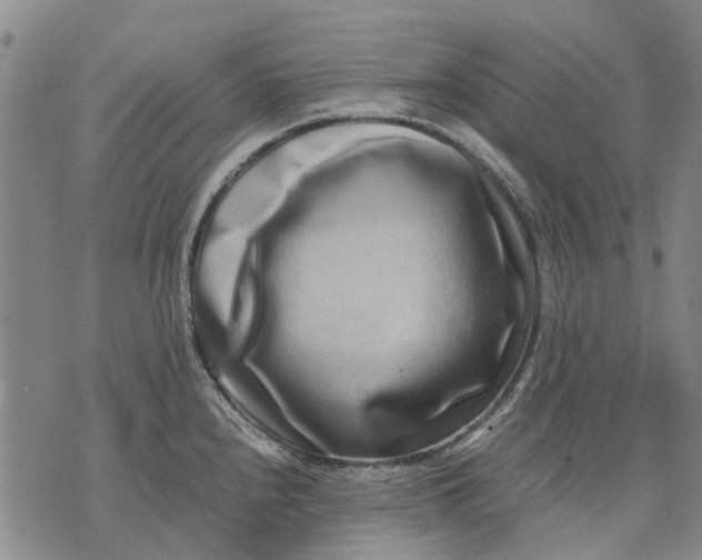 X0000070391240200606231729