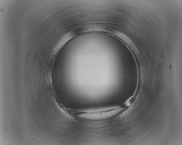 X0000070391241200606231729