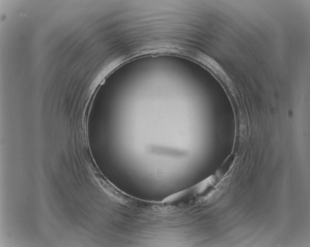 X0000070391242200606231729