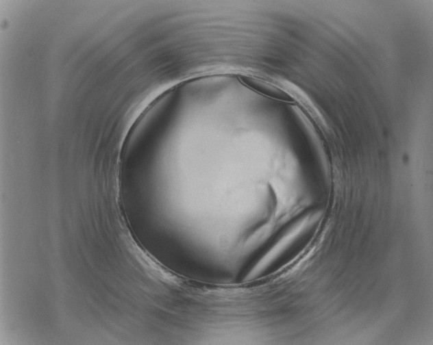 X0000070391244200606231729