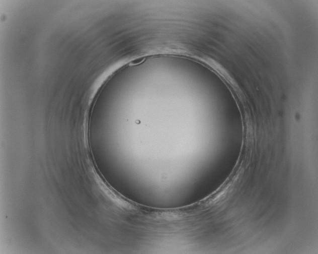 X0000070391246200606231729