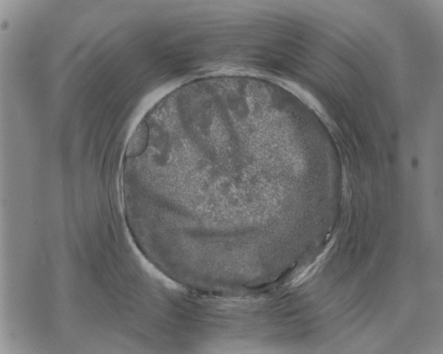 X0000070391247200606231729