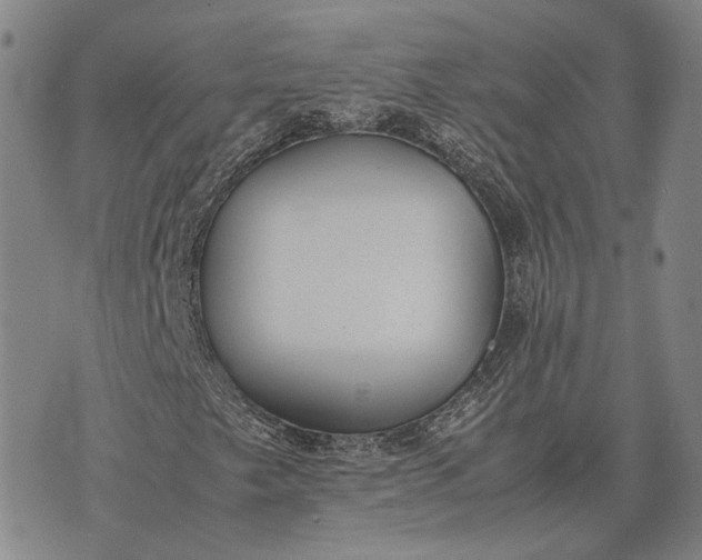 X0000070391249200606231729