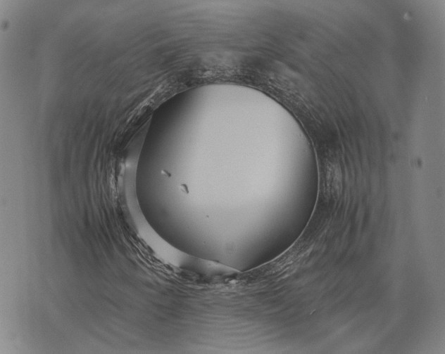 X0000070391250200606231729