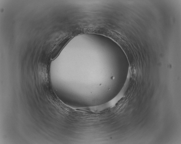 X0000070391252200606231729