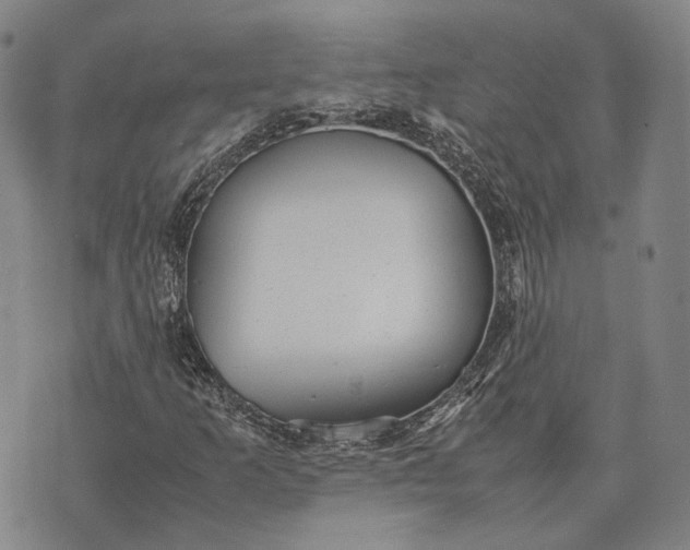 X0000070391253200606231729