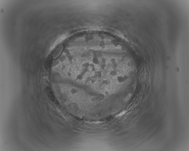 X0000070391255200606231729