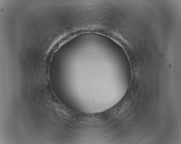 X0000070391256200606231729