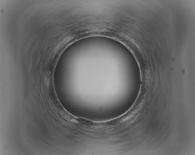 X0000070391257200606231729