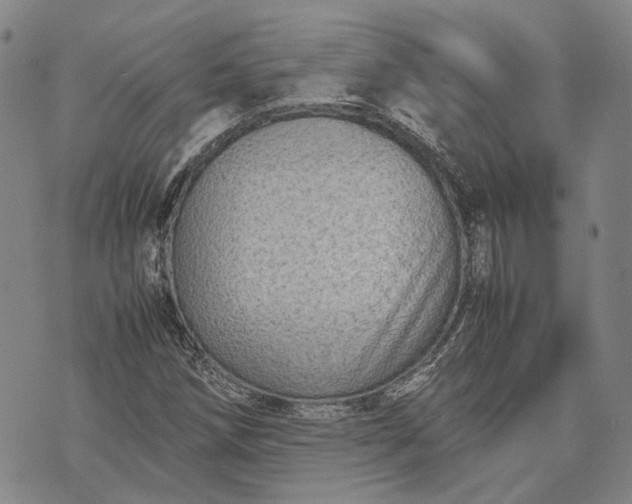 X0000070391258200606231729