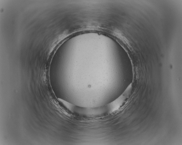 X0000070391260200606231728