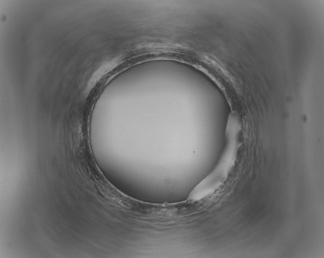 X0000070391261200606231728