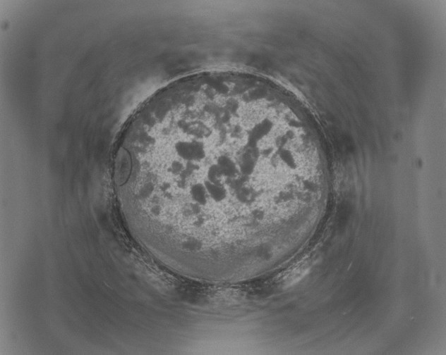 X0000070391263200606231728