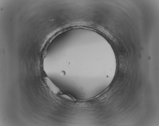 X0000070391264200606231728