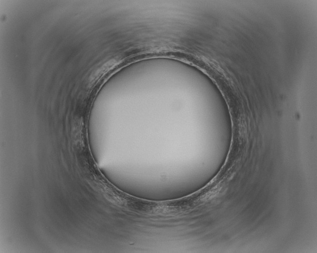 X0000070391265200606231728