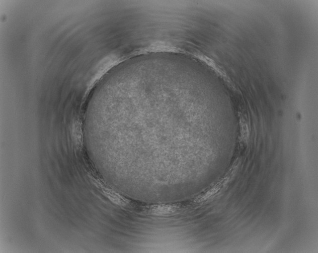 X0000070391266200606231728