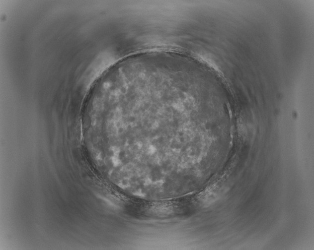 X0000070391267200606231728