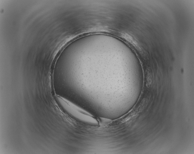 X0000070391268200606231728