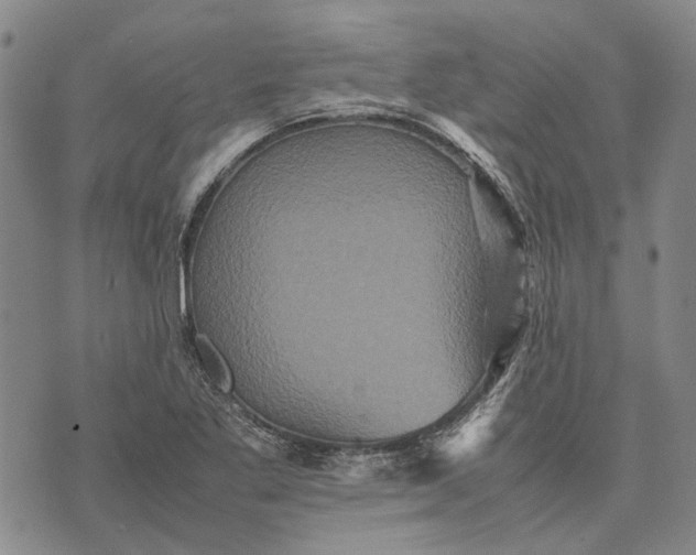 X0000070391269200606231728