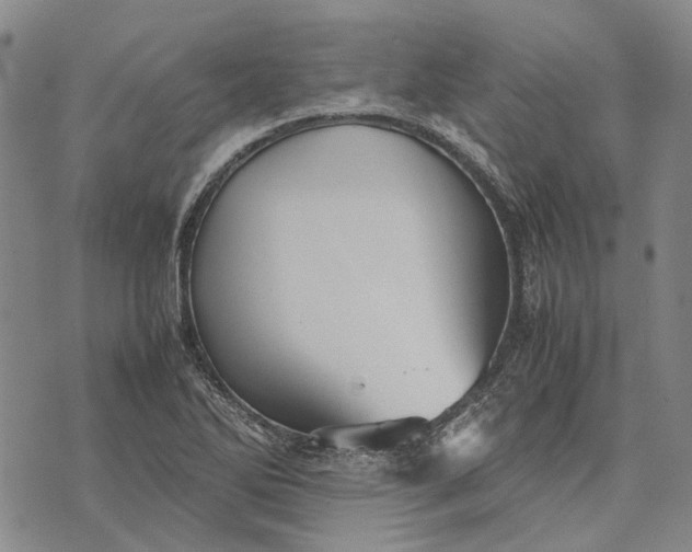 X0000070391270200606231728