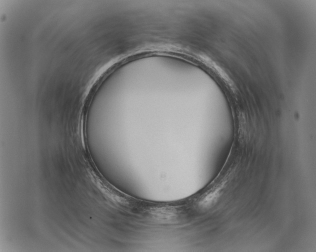 X0000070391272200606231728