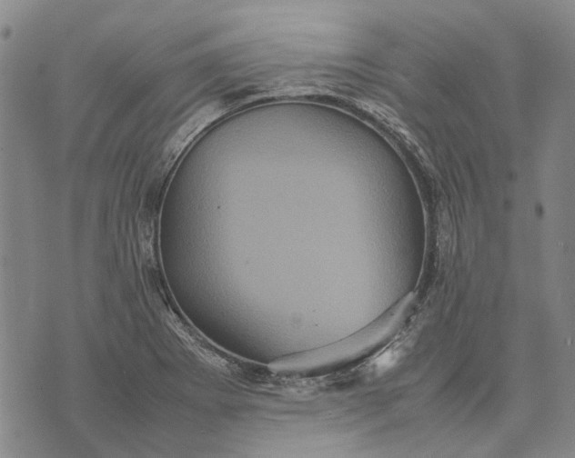 X0000070391273200606231728