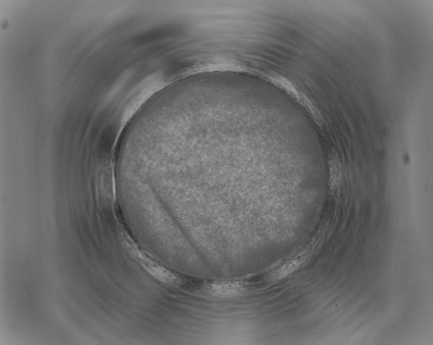 X0000070391274200606231728