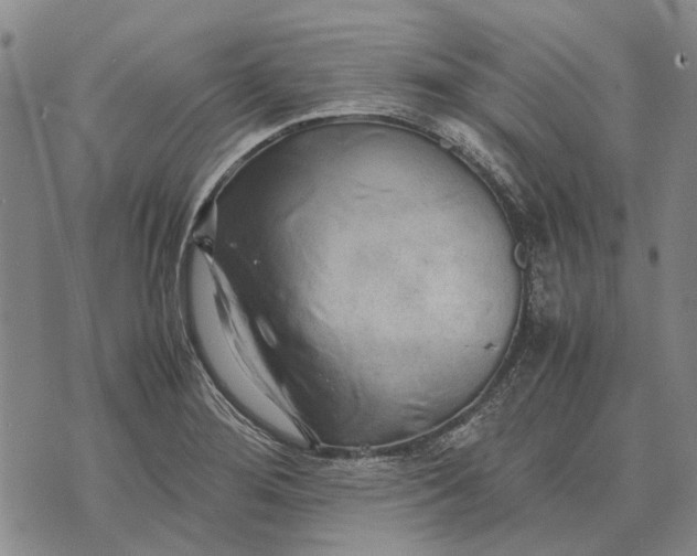 X0000070391276200606231728