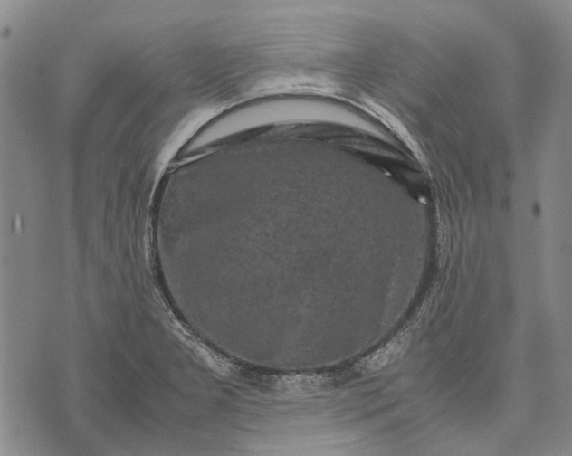 X0000070391277200606231728