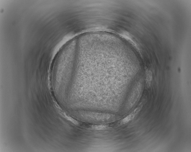 X0000070391278200606231728