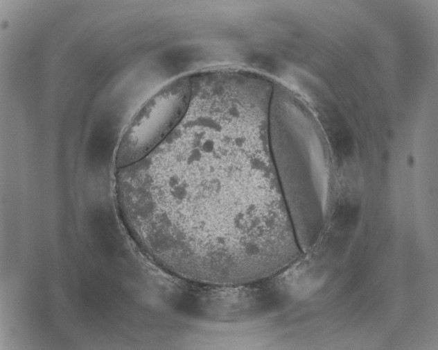 X0000070391279200606231728