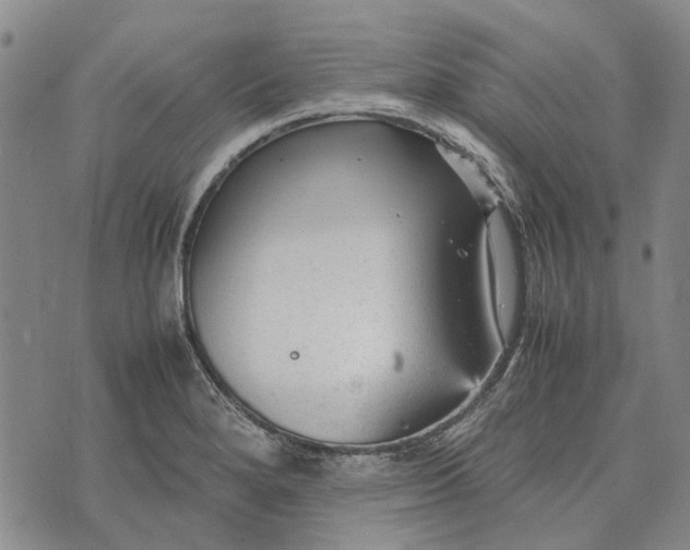 X0000070391280200606231728