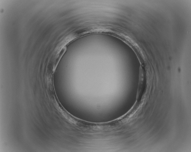 X0000070391281200606231728