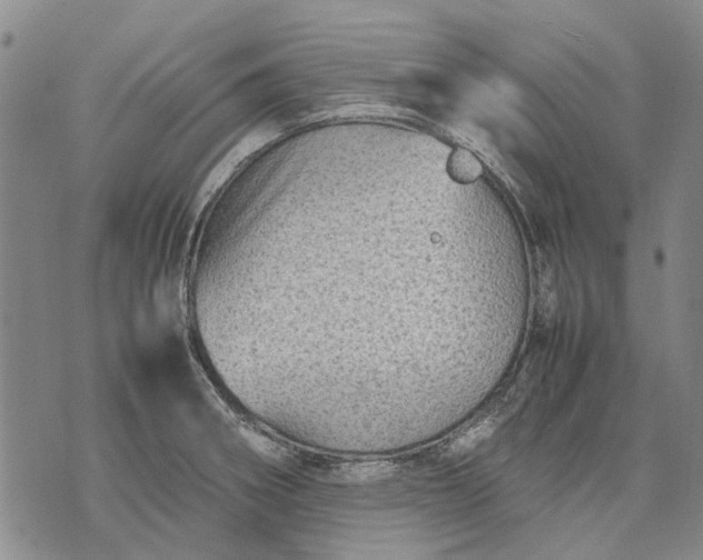 X0000070391282200606231728