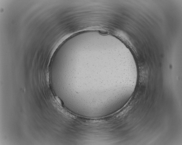 X0000070391284200606231728