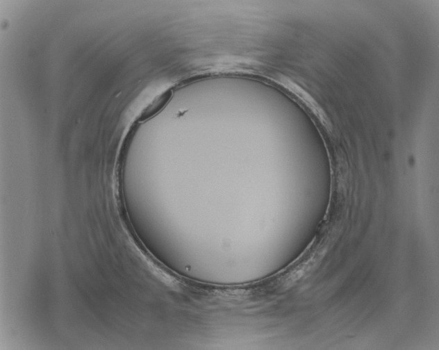 X0000070391285200606231728