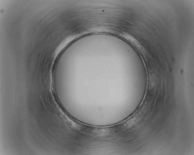 X0000070391286200606231728