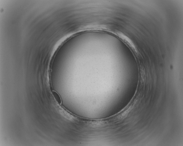 X0000070391288200606231728