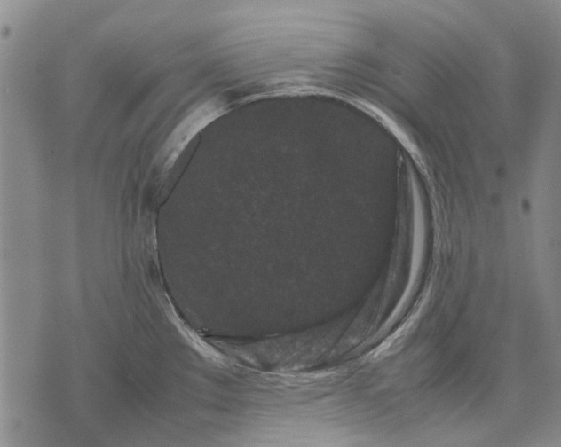 X0000070391289200606231728