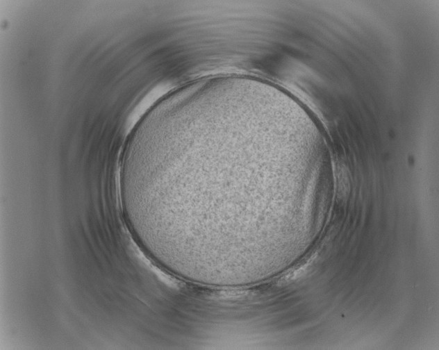 X0000070391290200606231728