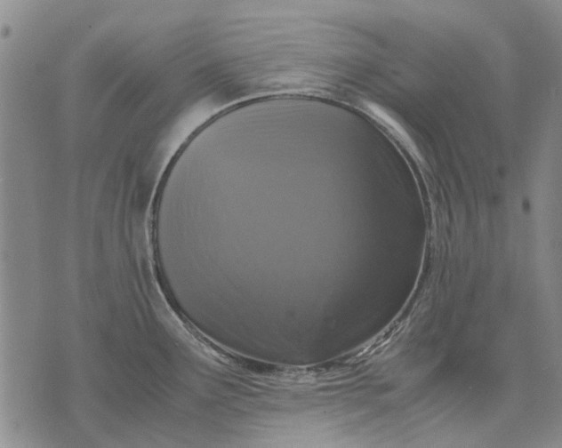 X0000070391291200606231728