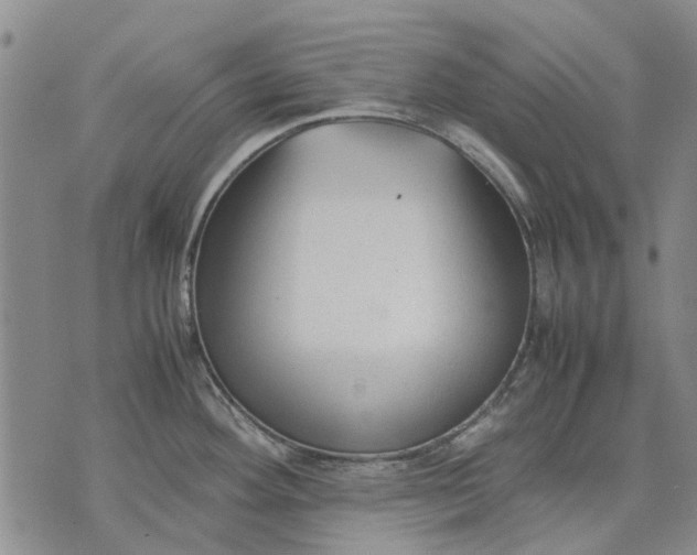 X0000070391292200606231728