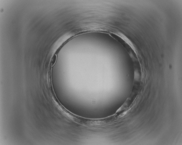 X0000070391293200606231728