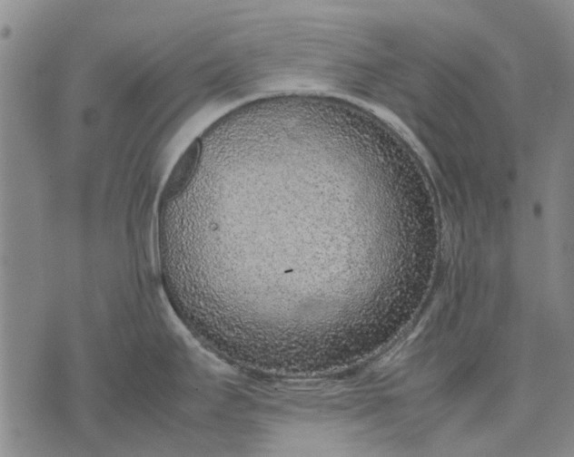 X0000070391295200606231728