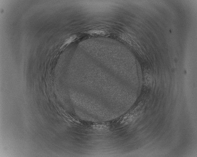 X0000070391297200606231727