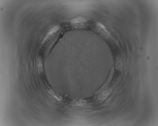 X0000070391298200606231727